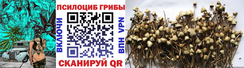 Псилоцибиновые грибы GOLDEN TEACHER  Озёрск 